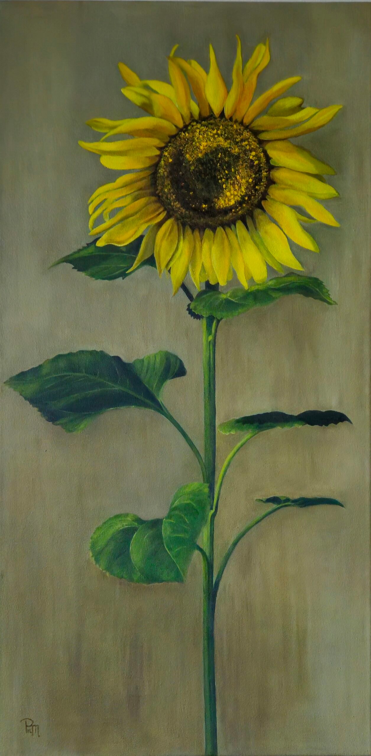 Bloemen schilderij zonnebloem